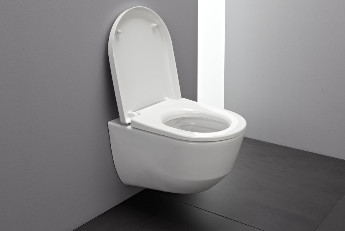 WC-istuin seinä LAUFEN PRO 82096.6 RIMLESS