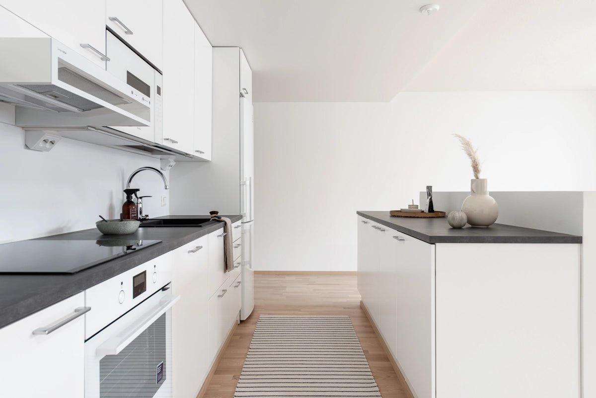 Swegon Blues Genius 60 Ruostumaton teräs Liesikupu - KarelianStore