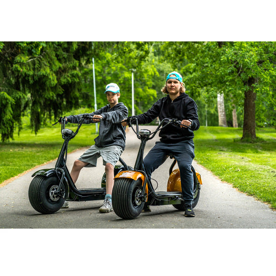 Kruiser Gold 0,9kWh akulla
