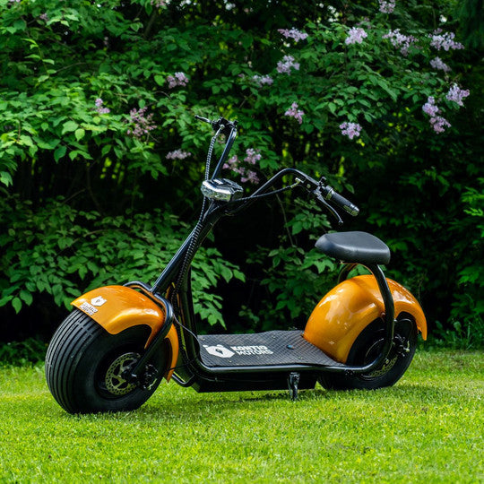 Kruiser Gold 0,9kWh akulla