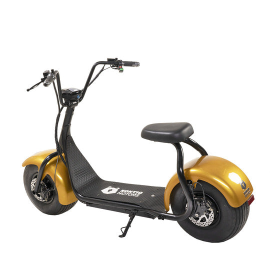 Kruiser Gold 0,9kWh akulla