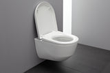WC-istuin seinä LAUFEN PRO 82096.6 RIMLESS