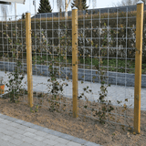 Espalier, metalliverkkopaneeli, galvanoitu, 180 x 90 cm, pakkauksessa mukana kiinnikkeet - KarelianStore