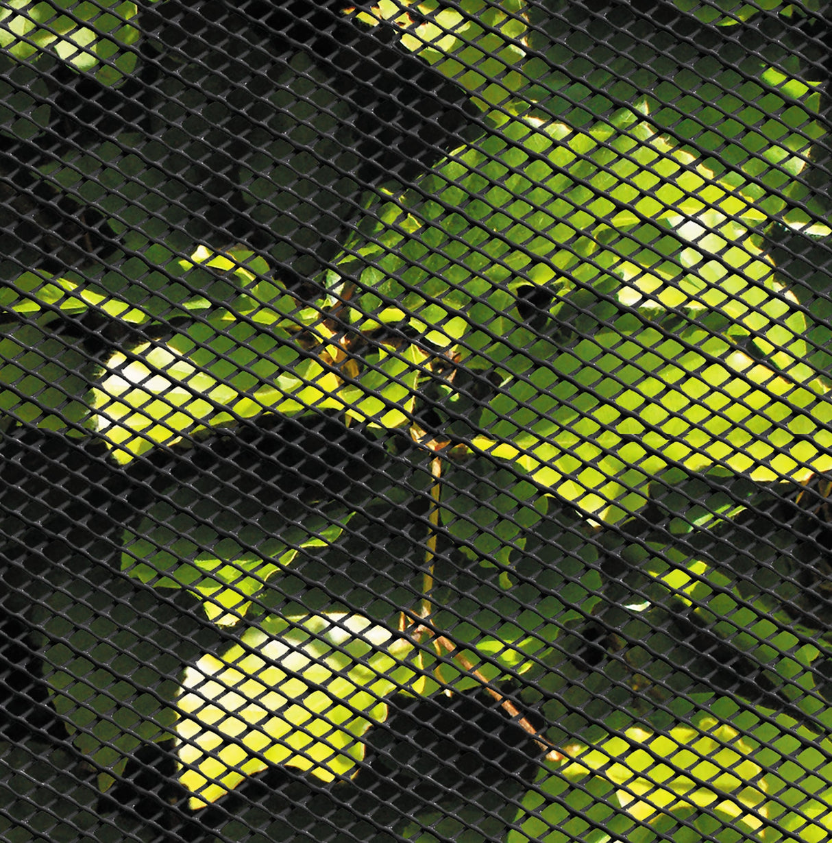 Hyönteisverkko, musta muovi, 60 cm x 10 m - KarelianStore