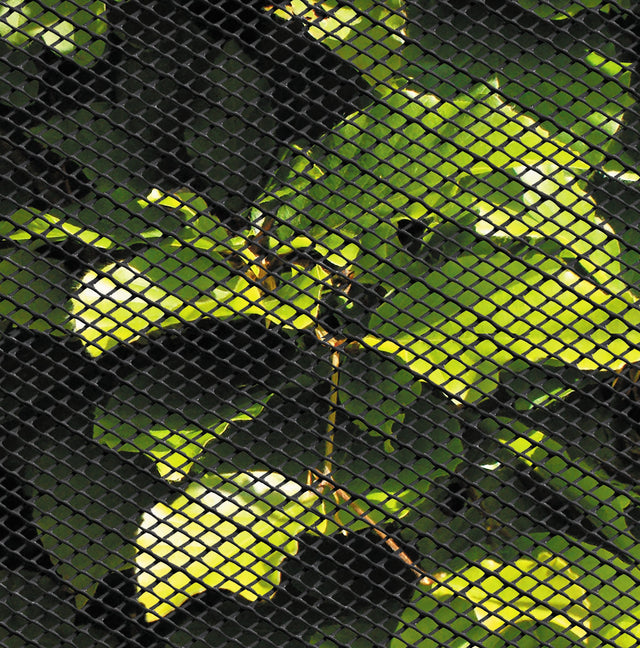 Hyönteisverkko, musta muovi, 60 cm x 10 m - KarelianStore
