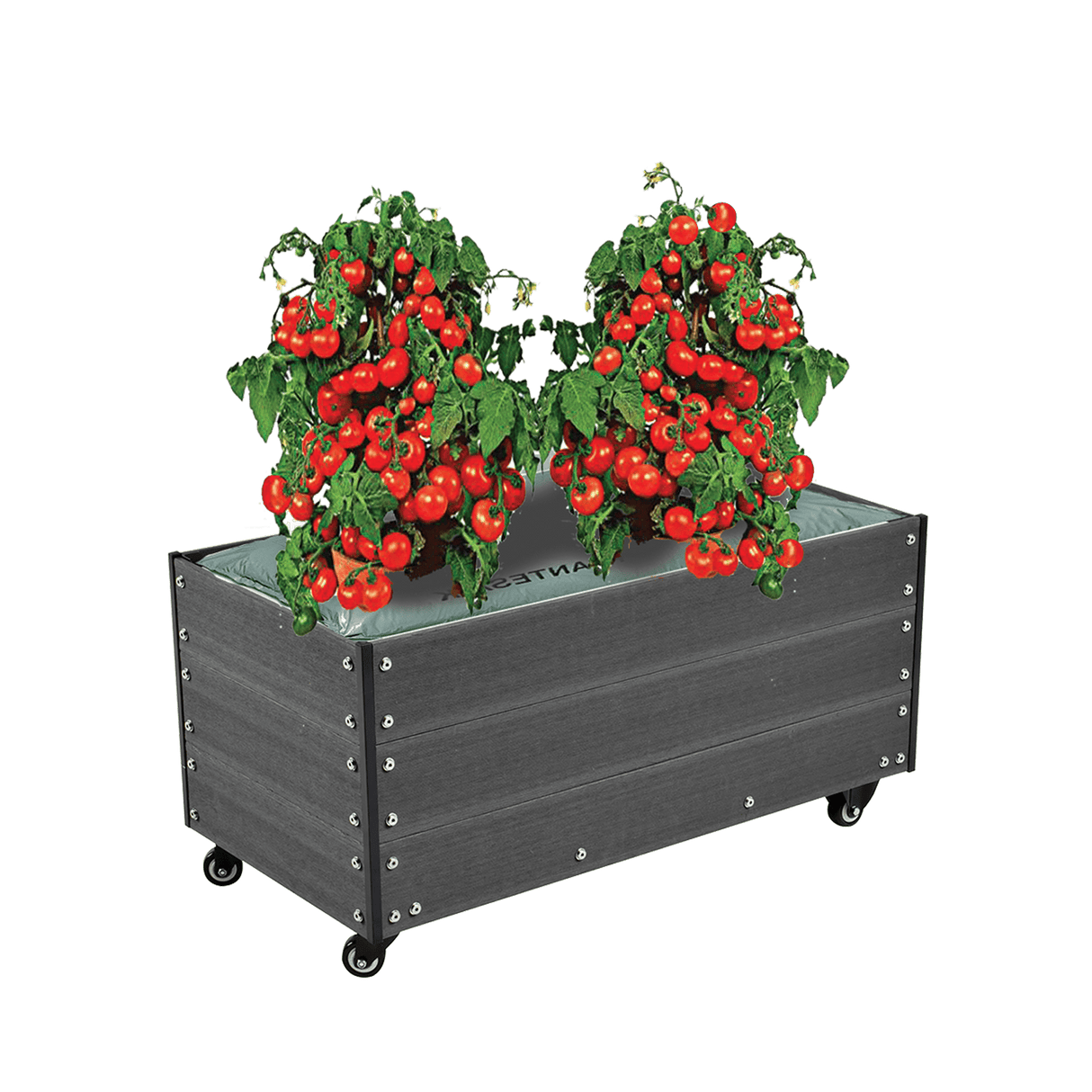 Kasvilava pyörillä, komposiitti, 36 x 50 x 90 cm HORTUS - KarelianStore