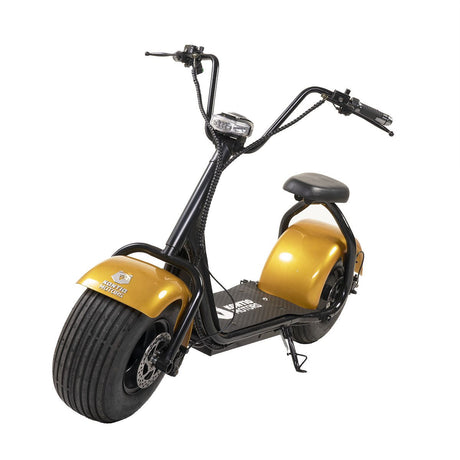 Kruiser Gold 0,7kWh akulla - KarelianStore