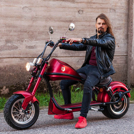 Kruiser Heritage Red 1,2kWh akulla - KarelianStore
