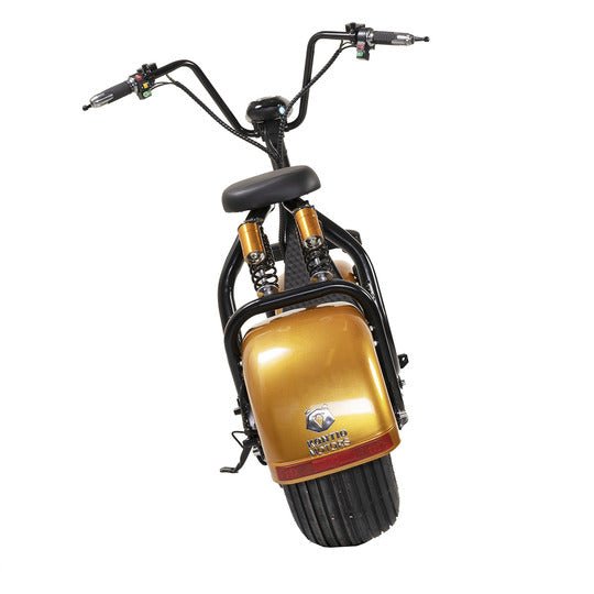 Kruiser Premium Pack Gold 1,2kWh akulla - KarelianStore