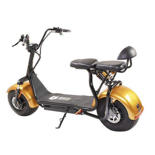 Kruiser Premium Pack Gold 1,2kWh akulla - KarelianStore