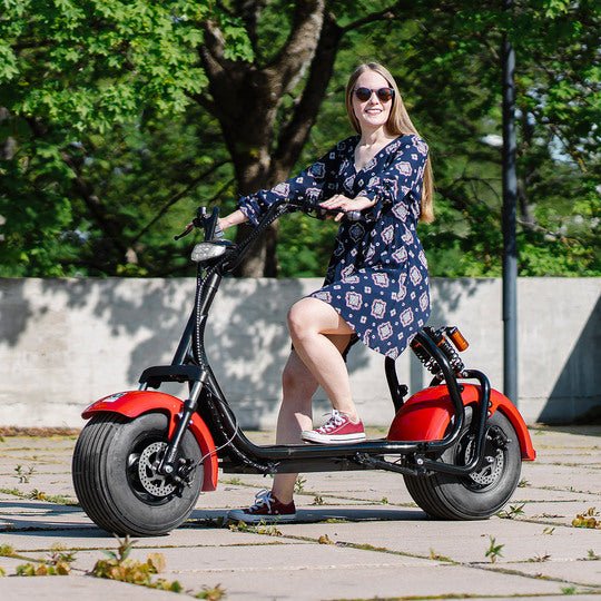 Kruiser Premium Pack Red 1,2kWh akulla - KarelianStore