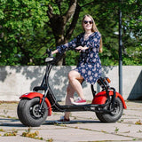 Kruiser Premium Pack Red 1,2kWh akulla - KarelianStore