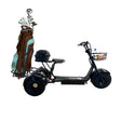 Kruiser Trike Golf bag teline - KarelianStore
