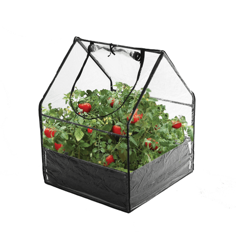 Minikasvihuone 65 cm HORTUS - KarelianStore