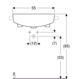 Pesuallas Geberit Variform Keratect 550x450x185 mm - KarelianStore