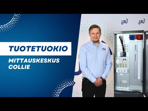 Mittauskeskus Utu Collie 3806P63 1T+PR-Y 63A Ylijännitesuojalla